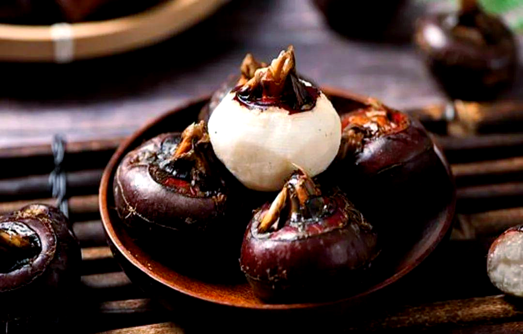 20251125141712299069.png 荸荠.png