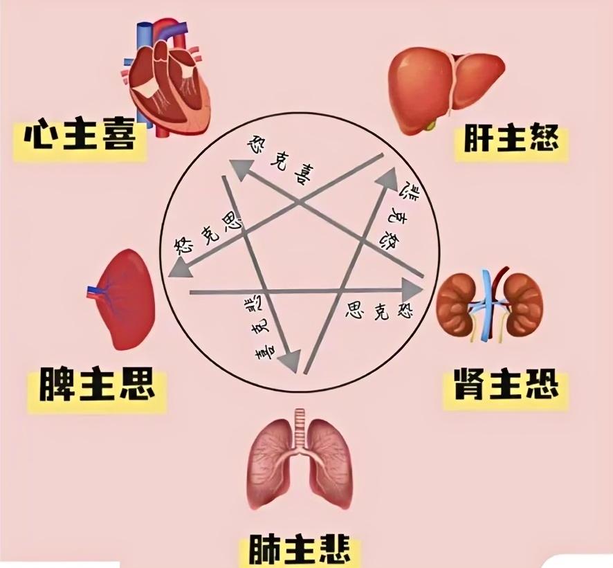20251127261617348413.jpeg 情绪与五脏.jpeg